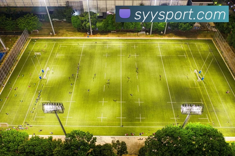 双赢彩票官网APP 封面图